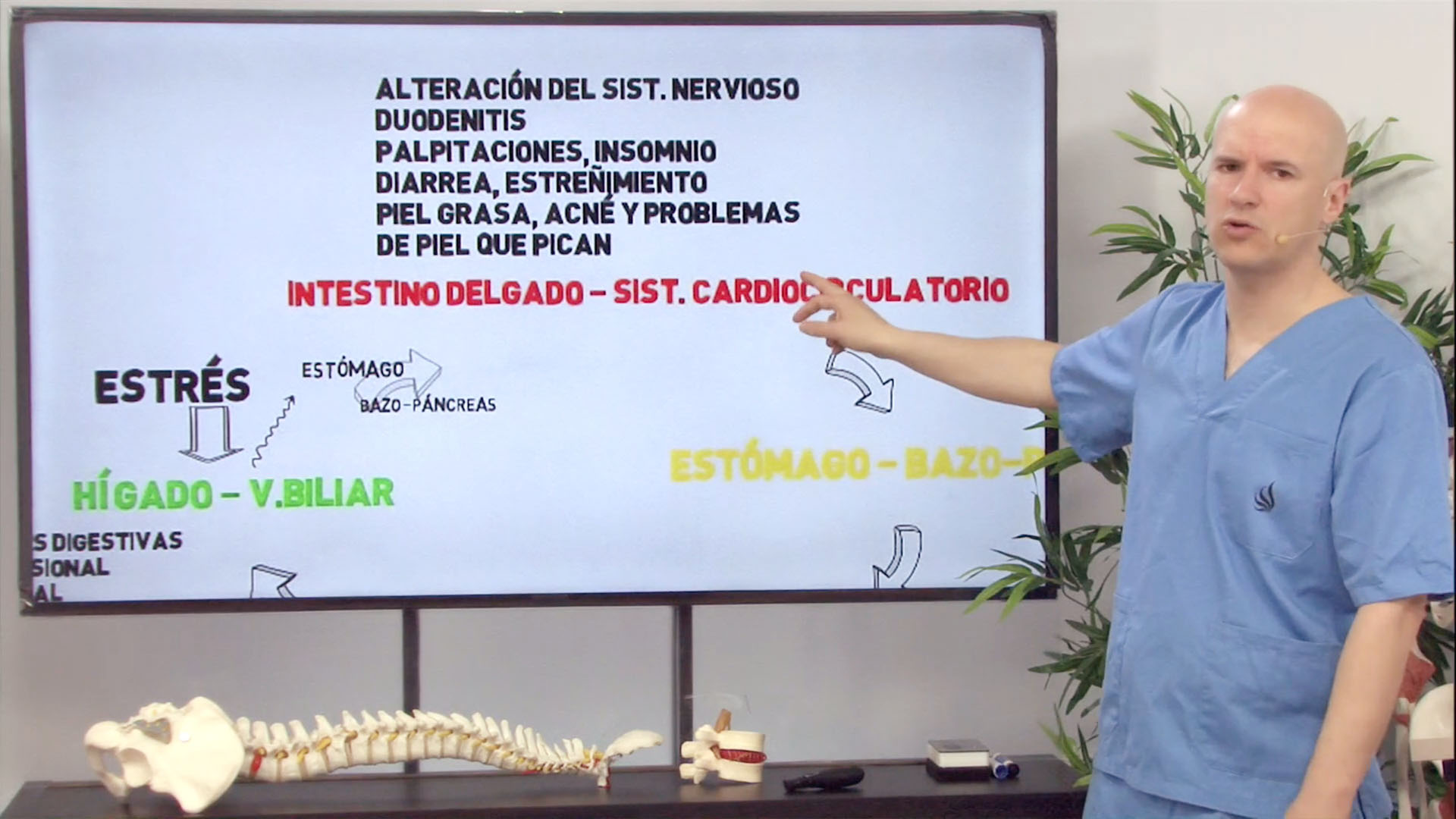 Biomecánica del estrés